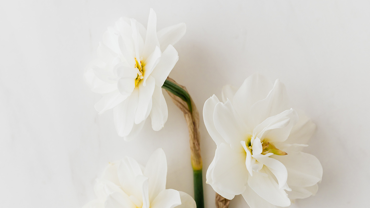 white flowers